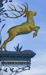 Hirschen Birndorf